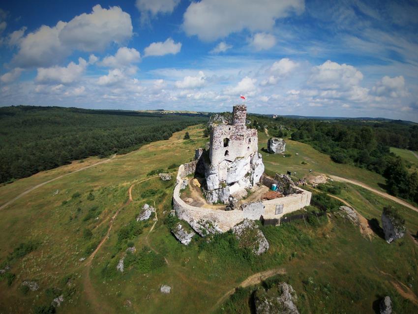 Zamek w Mirowie (9).jpg