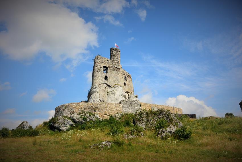 Zamek w Mirowie (2).JPG