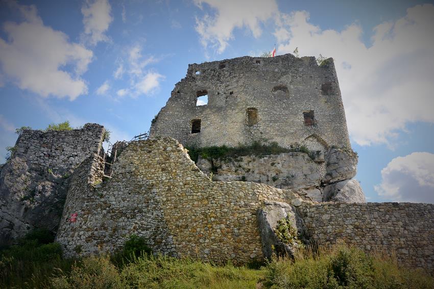 Zamek w Mirowie (5).JPG