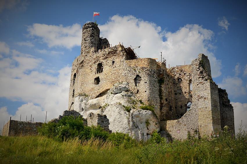Zamek w Mirowie (8).JPG
