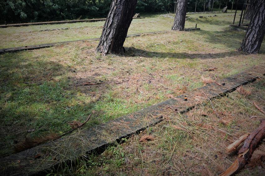Cmentarz w Kotowicach po akcie wandalizmu (11).JPG