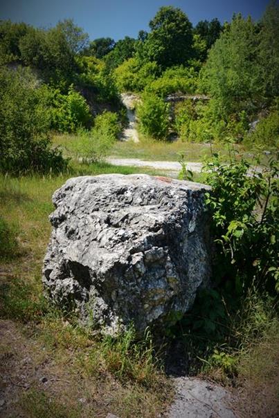 Górny poziom kamieniołomu (18).JPG