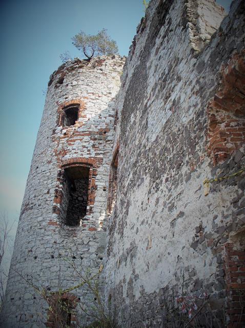 Zamek Tenczyn  (2).jpg