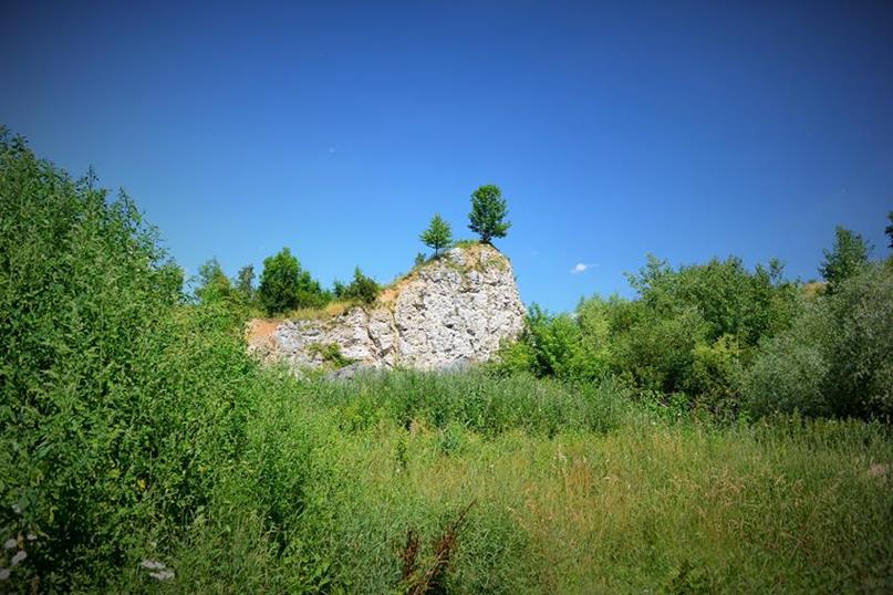 Kamieniołom w Nawojowej Górze (15).JPG