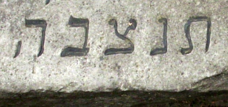 Hebrajski  skrót na dole macewy na Kirkucie Nowym w Olkuszu - 1.JPG