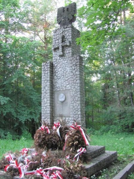 Pomnik w miejscu bitwy (1).jpg