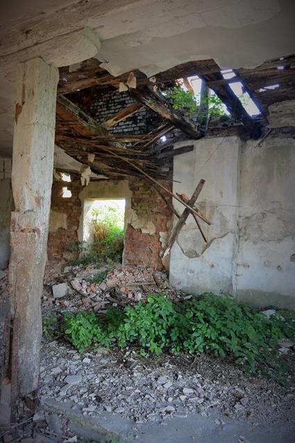Ruiny obory (6).JPG