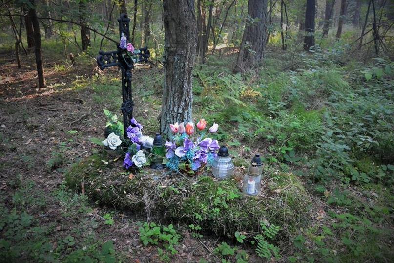 Brudzowice - grób w lesie (7).JPG