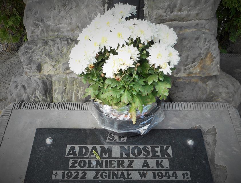 Adam Nosek (3).JPG