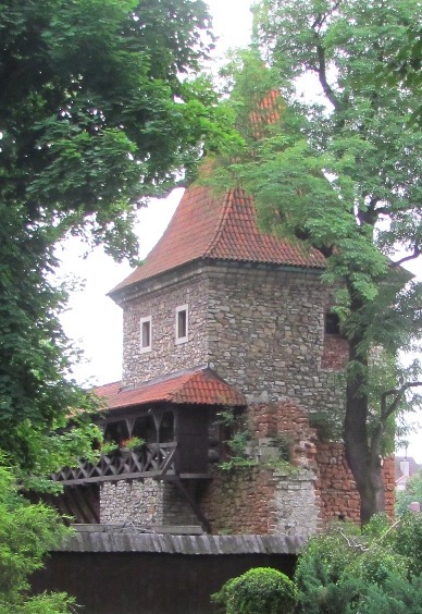 4. Średniowieczne Mury Olkusza.JPG