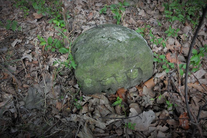 Kamień z okolicy Suszca I (1).JPG