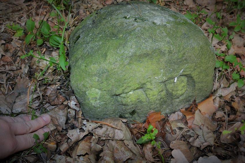 Kamień z okolicy Suszca I (4).JPG