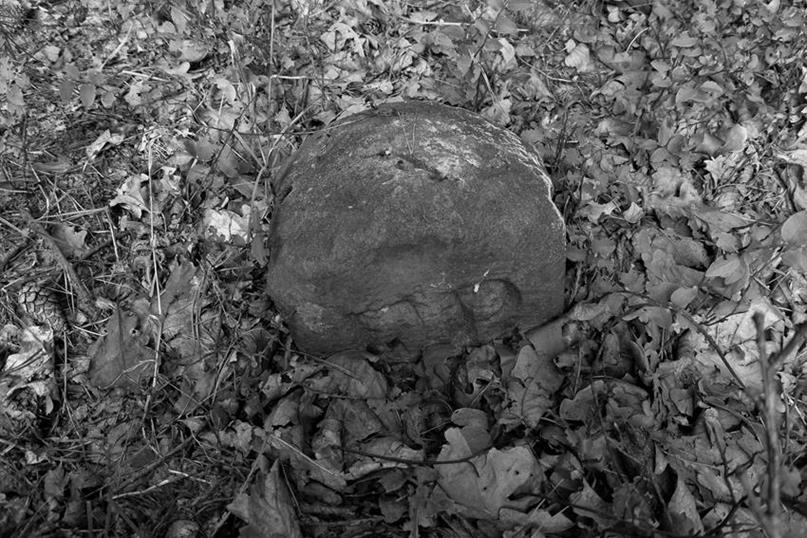 Kamień z okolicy Suszca I (2).JPG