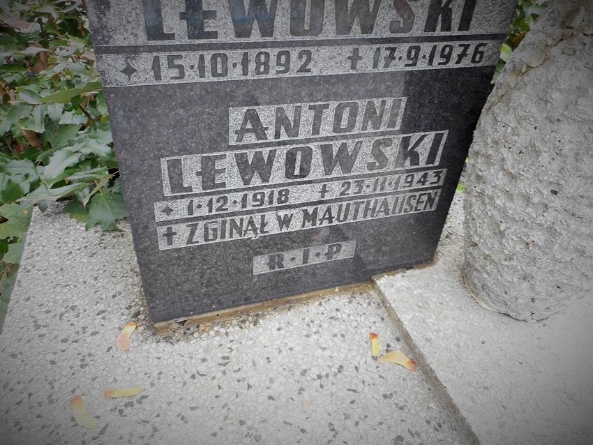 Antoni Lewowski (3).JPG