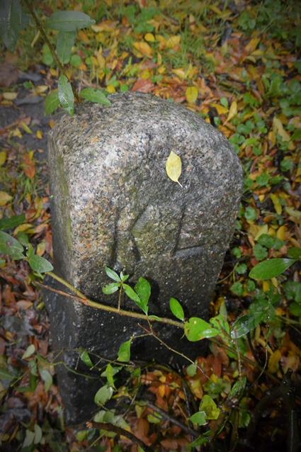 Kamień z ulicy Wolności w Zabrzu (1).JPG