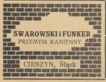 Swarowski_i_Funker_Reklama.jpg