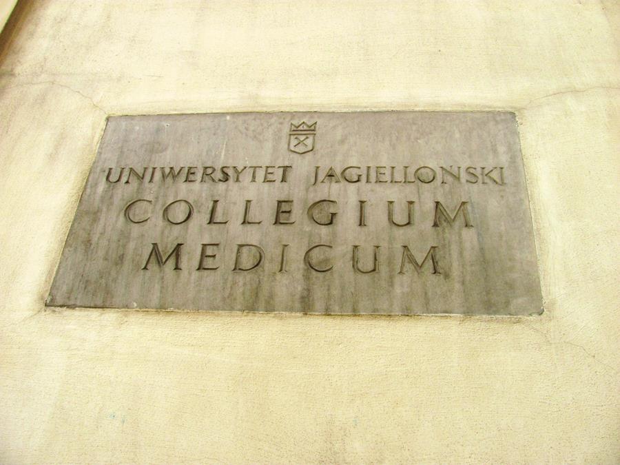 6. Na dziedzińcu Collegium Medicum.JPG