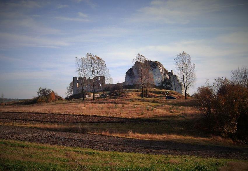 Zamek w październiku 2014 roku (1).jpg