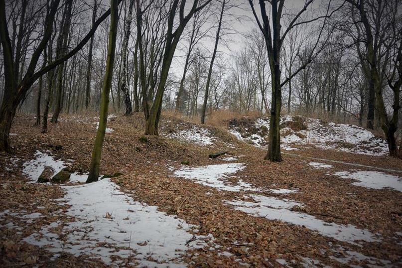 Pozostałości Starego Zamku (7).JPG