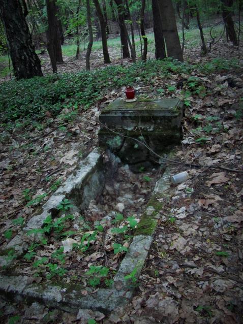 Cmentarz w Świerklańcu (15).jpg