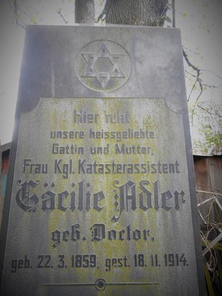 Cmentarz żydowski (27).JPG