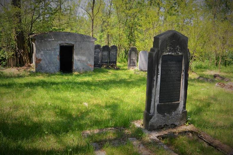 Cmentarz żydowski w Krzykawce (3).JPG