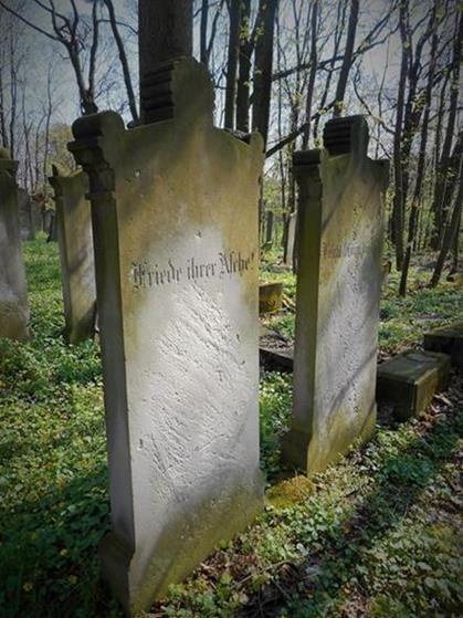 Cmentarz żydowski w Głogówku (7).JPG