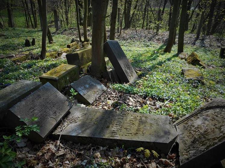 Cmentarz żydowski w Głogówku (9).JPG