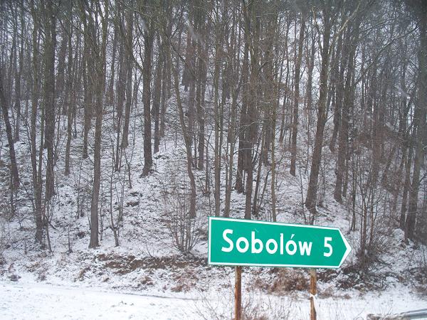 Widok z drogi na Sobolów na cypel wzniesienia.jpg