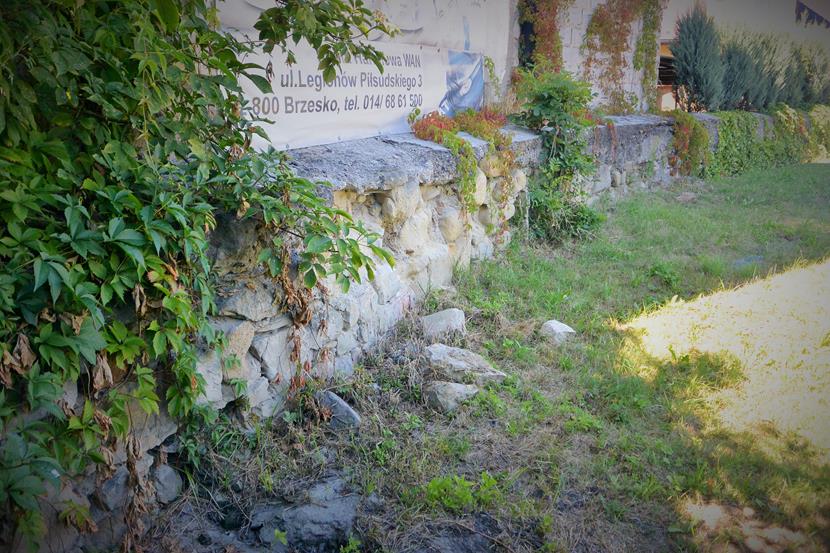 Stary cmentarz żydowski (11).JPG