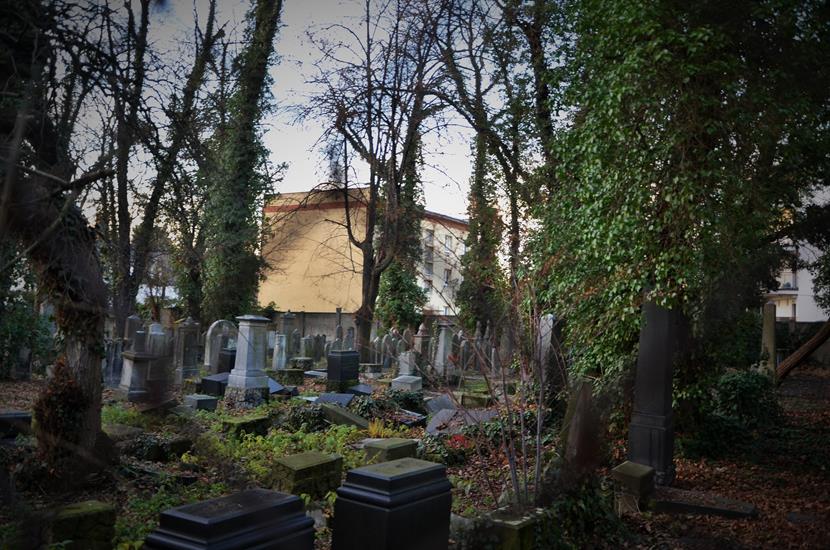 Cmentarz żydowski w Opolu (5).JPG