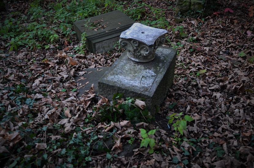 Cmentarz żydowski w Opolu (10).JPG