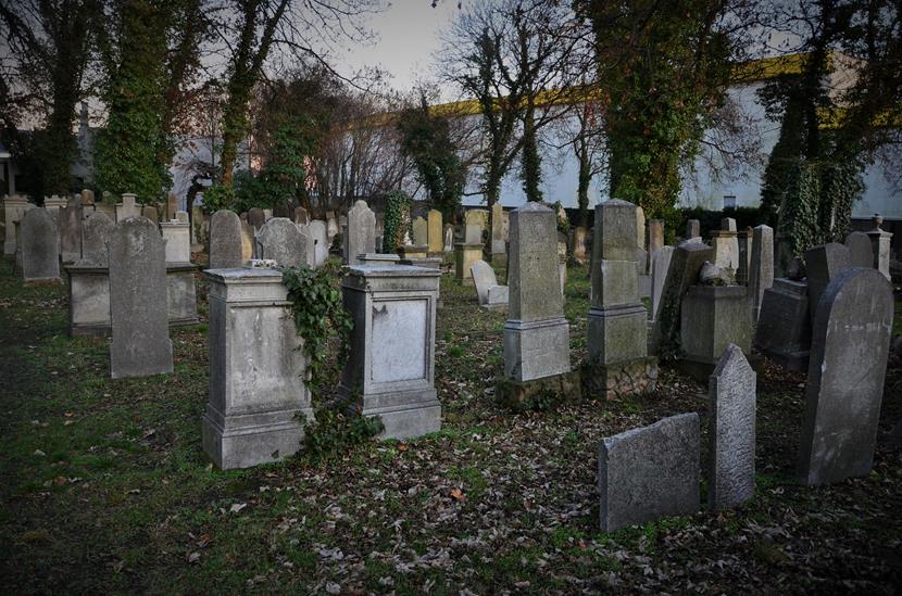 Cmentarz żydowski w Opolu (19).JPG