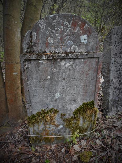 Cmentarz żydowski w Chęcinach (1).JPG