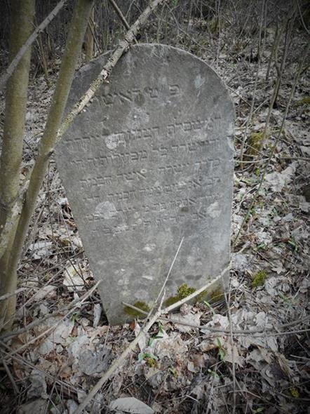 Cmentarz żydowski w Chęcinach (6).JPG