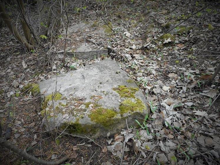 Cmentarz żydowski w Chęcinach (7).JPG