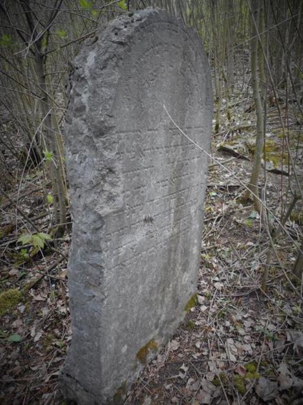 Cmentarz żydowski w Chęcinach (11).JPG