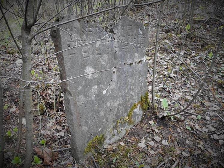 Cmentarz żydowski w Chęcinach (10).JPG