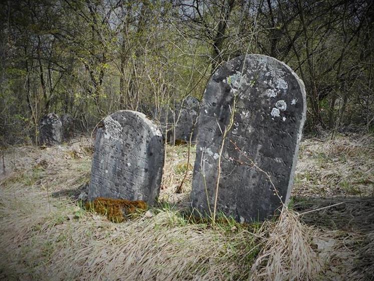 Cmentarz żydowski w Chęcinach (13).JPG