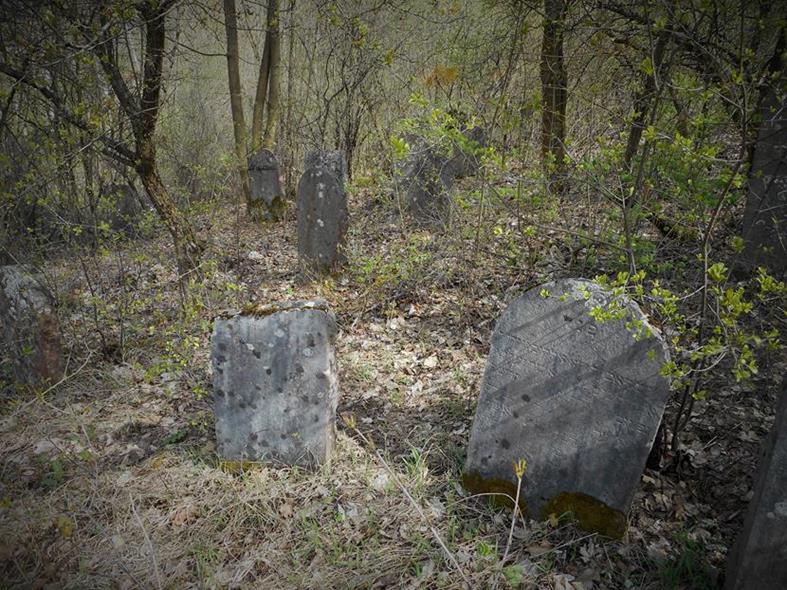 Cmentarz żydowski w Chęcinach (14).JPG
