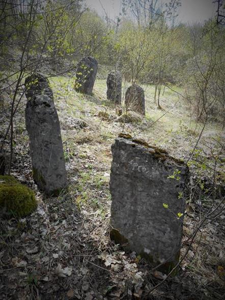 Cmentarz żydowski w Chęcinach (19).JPG