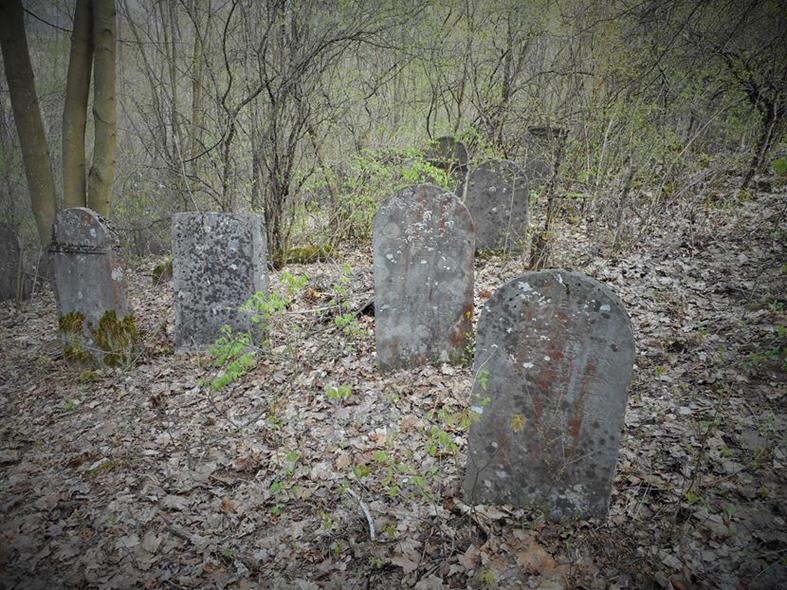 Cmentarz żydowski w Chęcinach (20).JPG