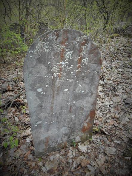 Cmentarz żydowski w Chęcinach (21).JPG