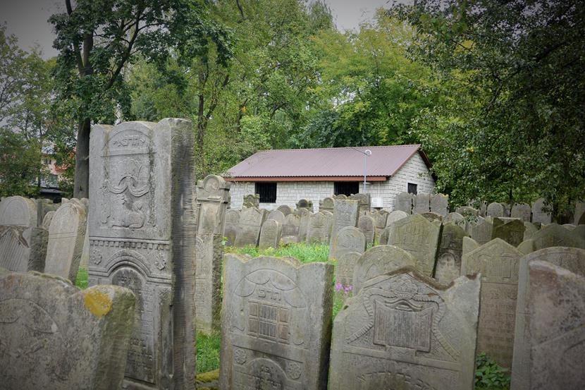 Cmentarz w Szydłowcu (3).JPG