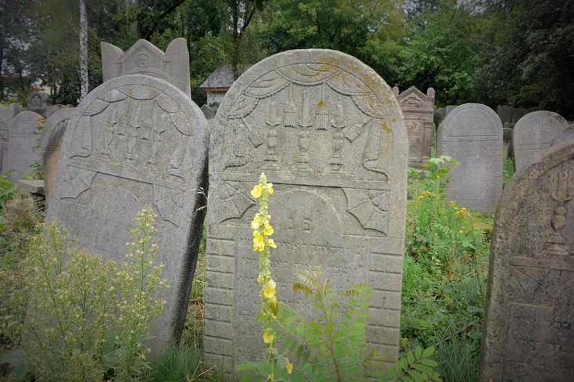 Cmentarz w Szydłowcu (5).JPG