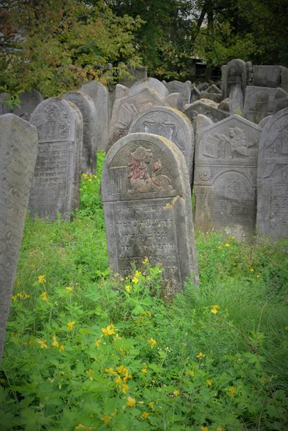 Cmentarz w Szydłowcu (14).JPG
