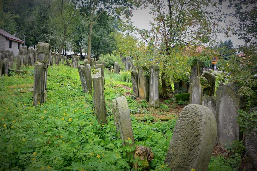 Cmentarz w Szydłowcu (21).JPG