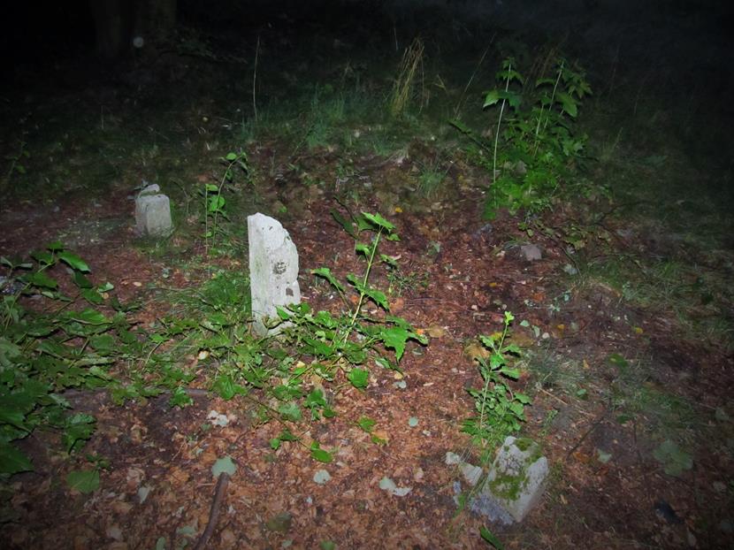 Włoszczowa - cmentarz żydowski (6).jpg