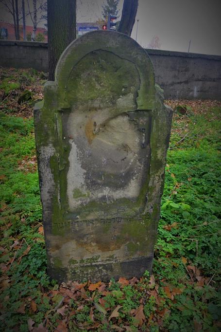 Na cmentarzu żydowkim (8).JPG