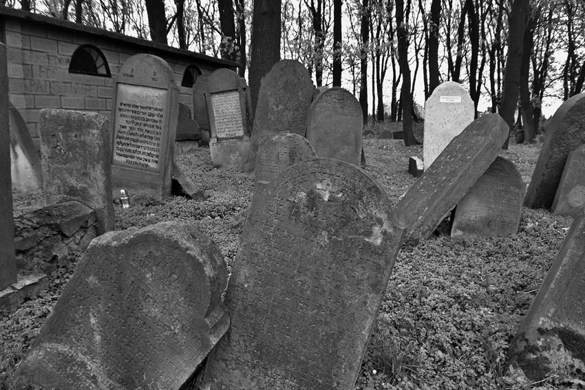 Na cmentarzu żydowkim (14).JPG